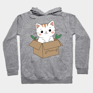 Quantic Cat Hoodie